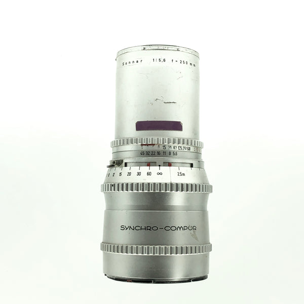 IMG_0709_grande.jpg?v=1559162126